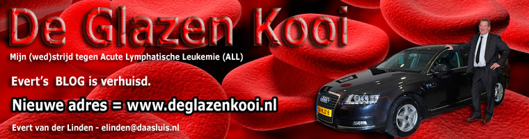 De glazen kooi - Home